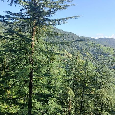Peace Holiday Homestay تشايل المظهر الخارجي الصورة